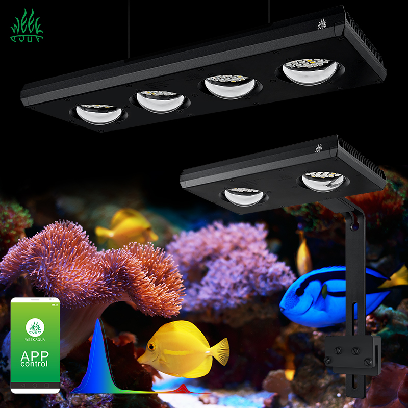 Marine Aquarium App - ZXY offre spéciale WEEKAQUA Z250 Z400sea