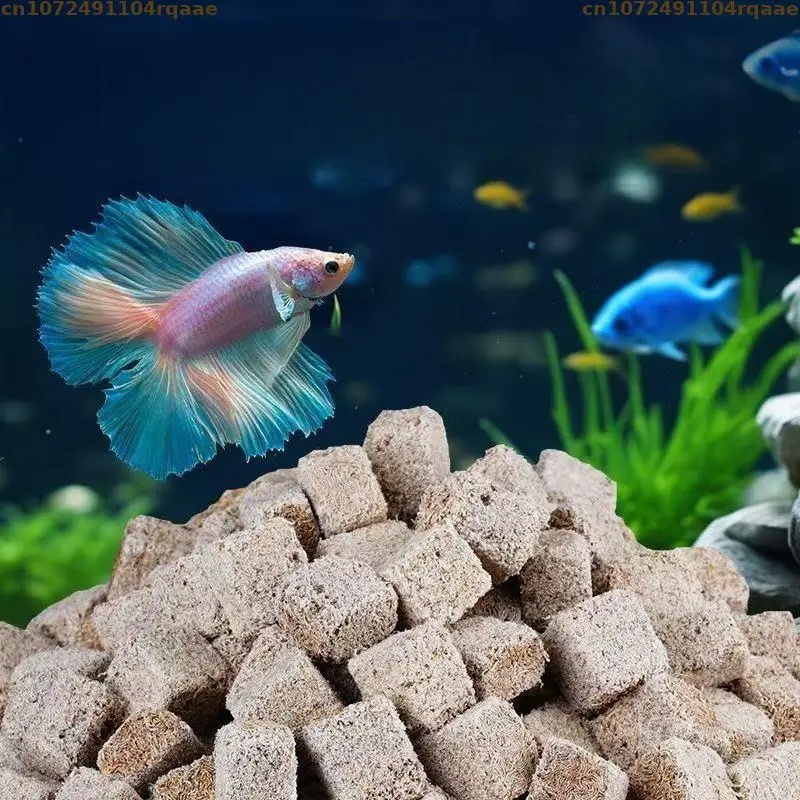 Vers de sang lyophilisés natur - Marine Aquarium Worms avis et prix