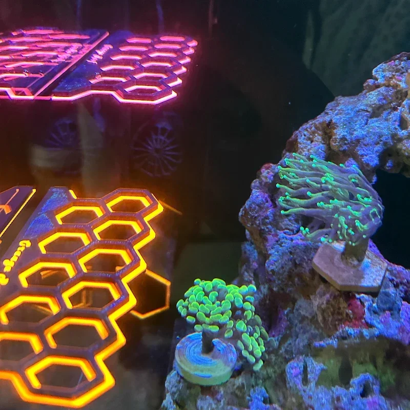 Support magnétique fluorescent - Coral Frag Plug avis et prix