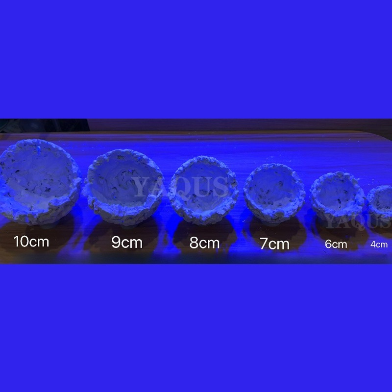 Nouveau bricolage à la main fl - Coral Frag Plug avis et prix