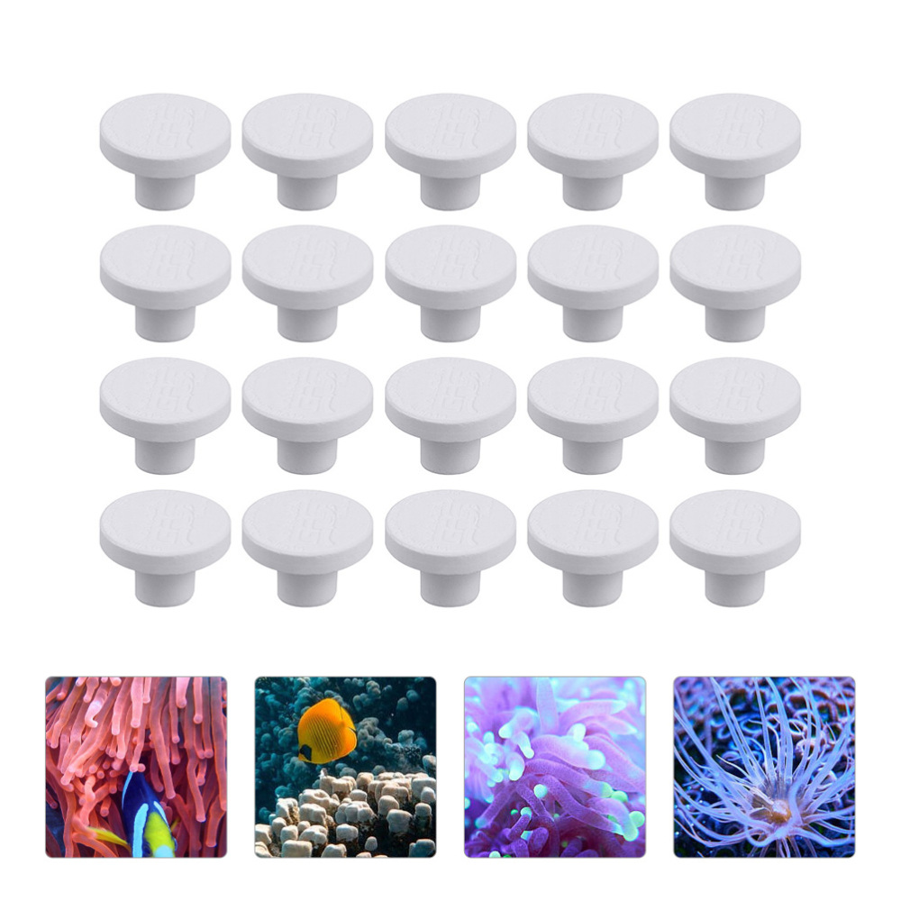 Base carrée en céramique SPS p - Coral Frag Plug avis et prix