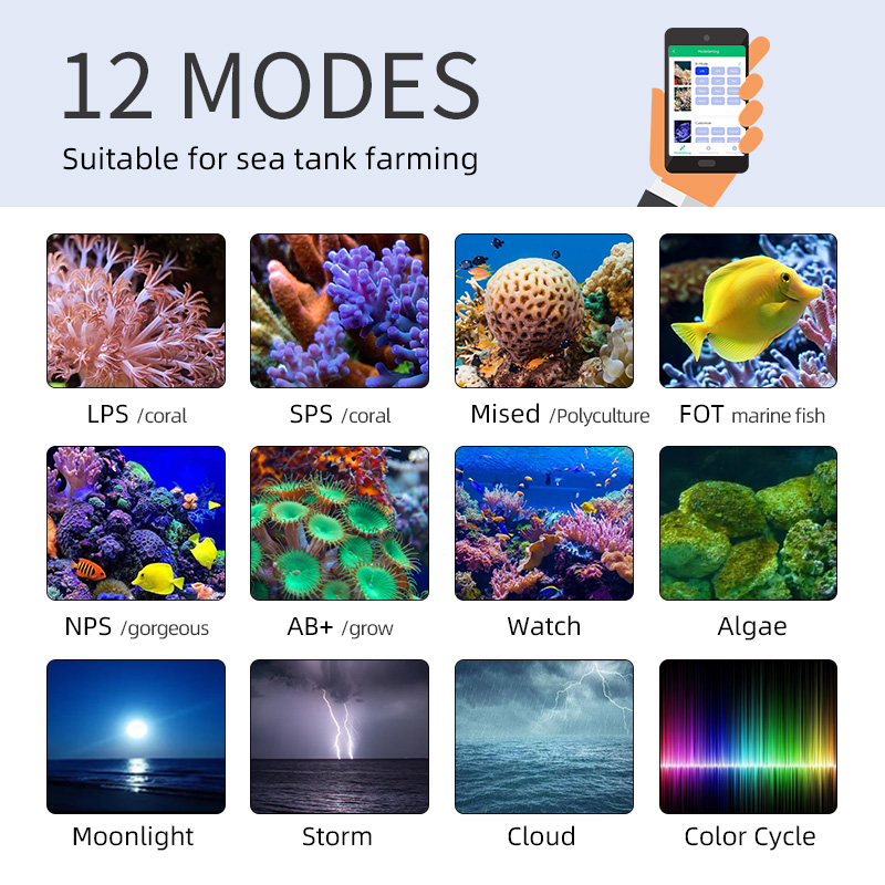 ZXY offre spéciale WEEKAQUA Z2 - Marine Aquarium App avis et prix