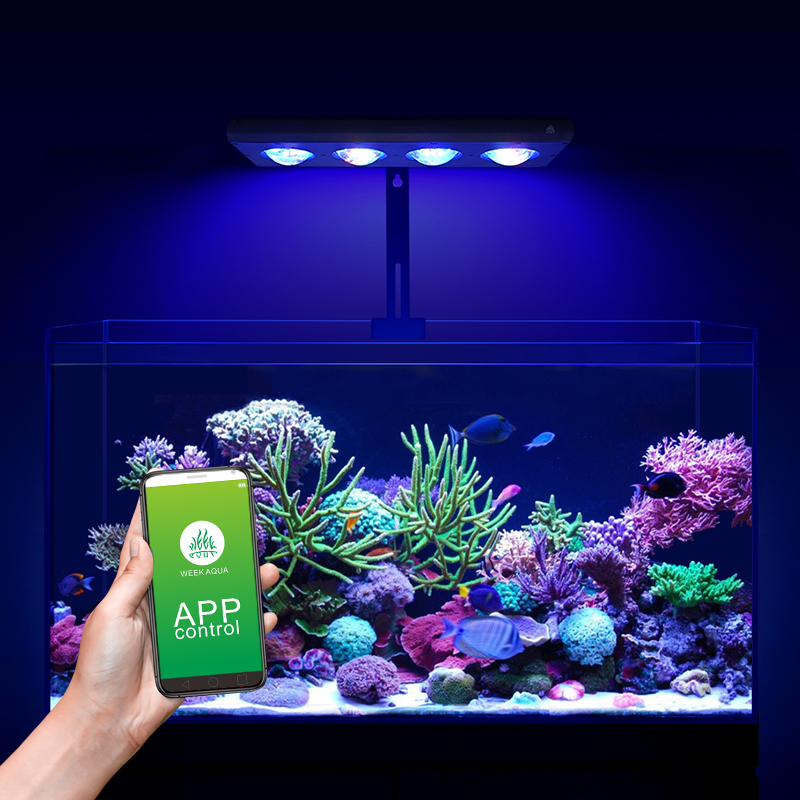 ZXY offre spéciale WEEKAQUA Z2 - Marine Aquarium App avis et prix