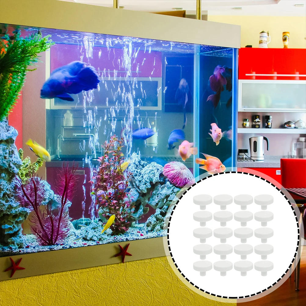 Base de corail sûre en forme d - Coral Frag Plug avis et prix