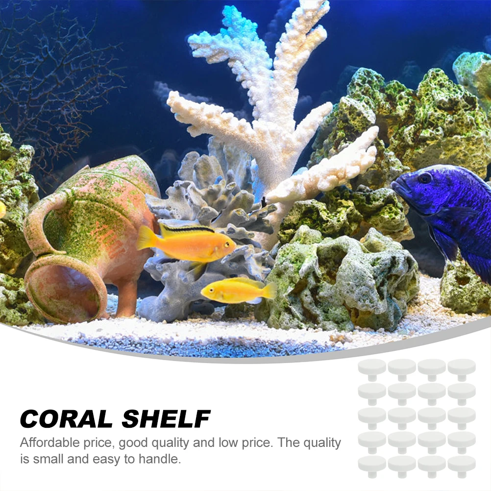 Base de corail sûre en forme d - Coral Frag Plug avis et prix
