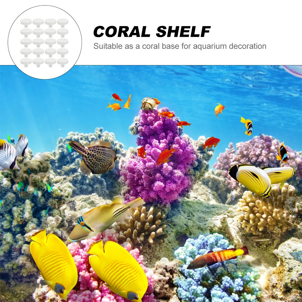 Base de corail sûre en forme d - Coral Frag Plug avis et prix
