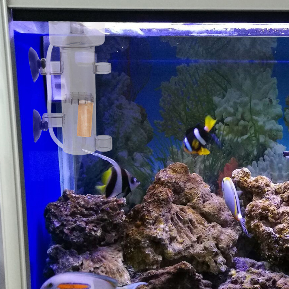 Écrémeur de protéines interne  - Marine Aquarium & Regional Centre Photos avis et prix