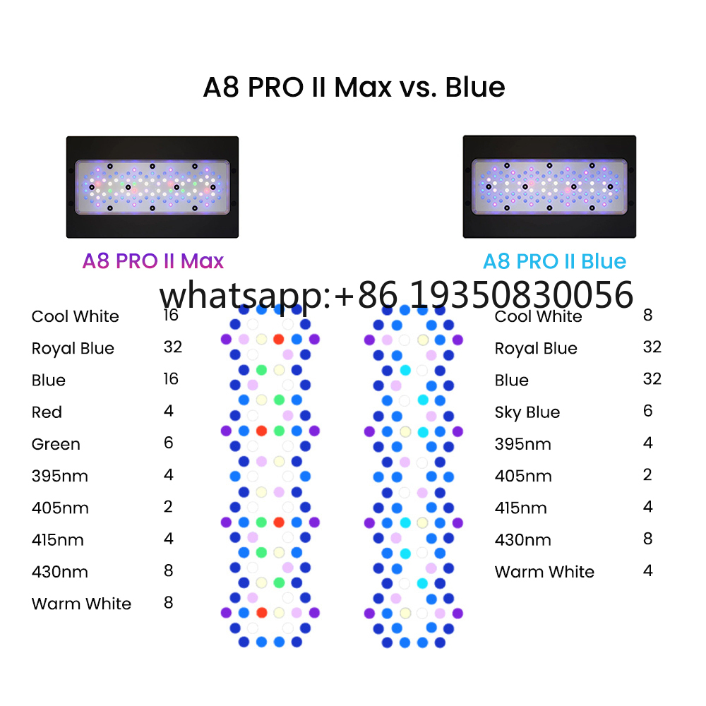 2026-A8 PRO II Max et Blue 240 - Marine Aquarium & Regional Centre Photos avis et prix