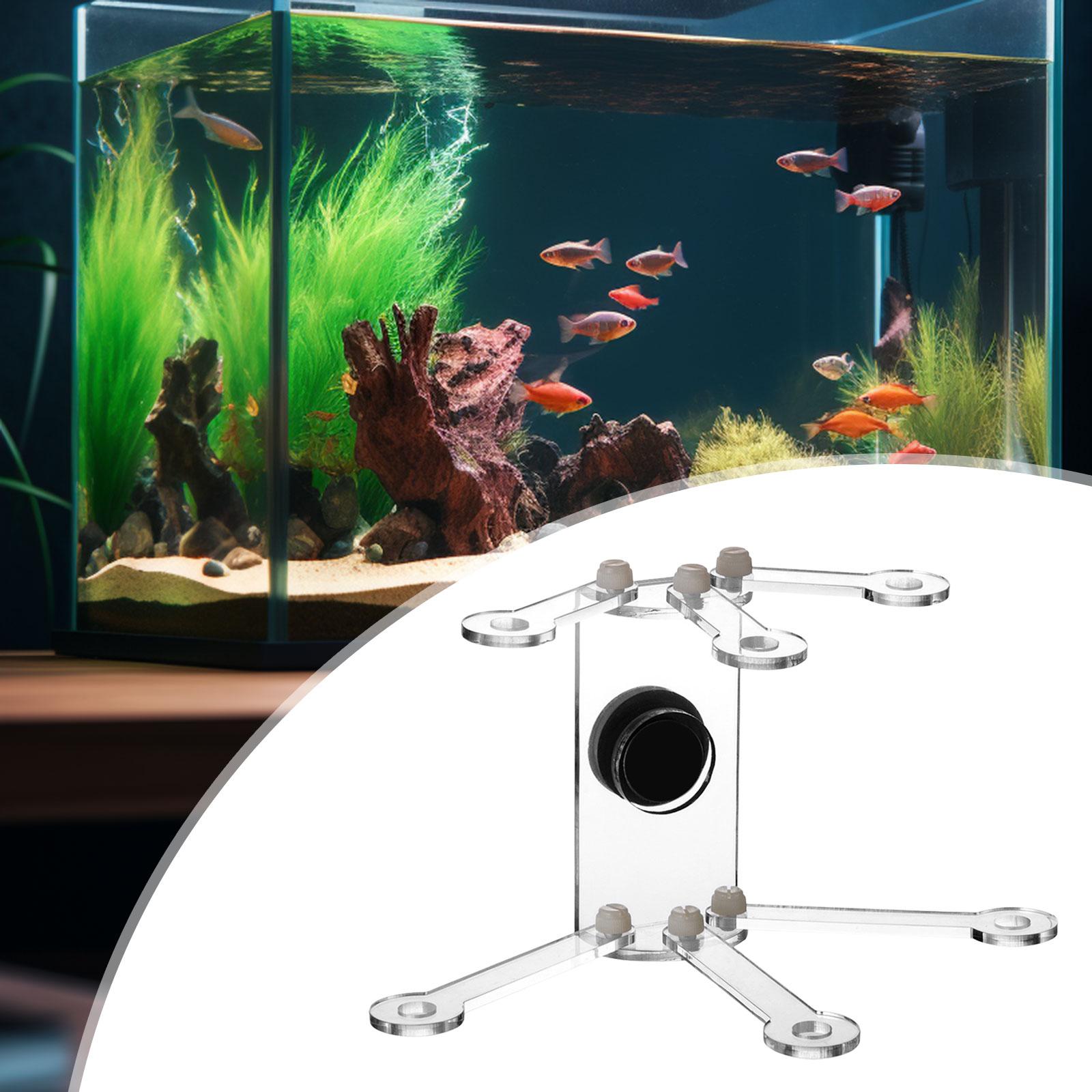 Support de Corail pour Aquariu - Coral Frag Plug avis et prix