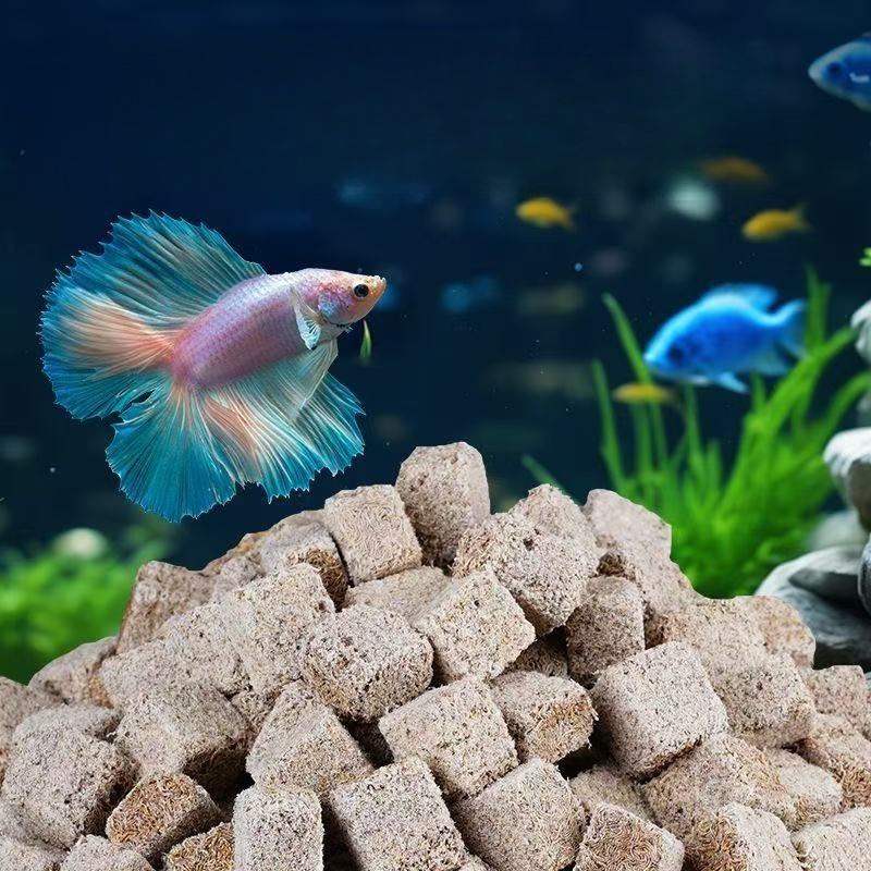 Cube de vers de sang lyophilis - Marine Aquarium Worms avis et prix