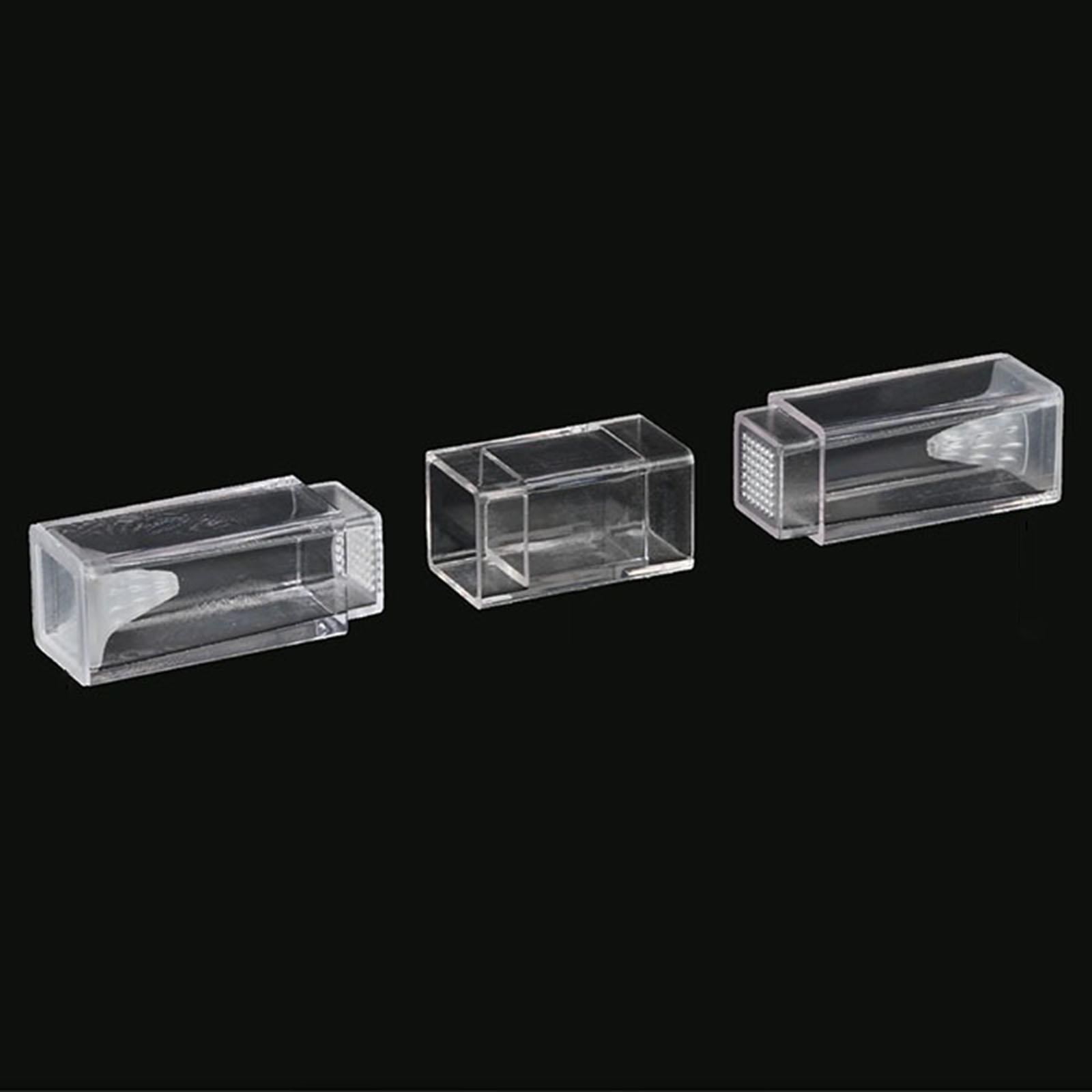 Capteur Planaria d'aquarium po - Marine Aquarium Worms avis et prix