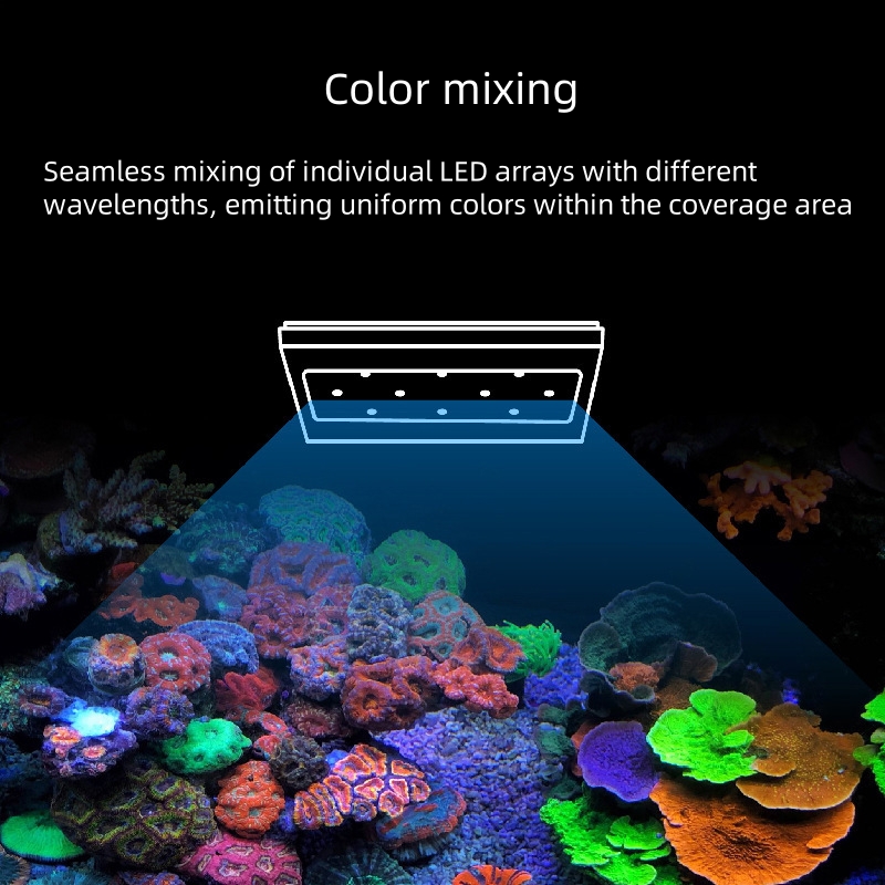 sttl A8Pro II Max 240 Watt WiF - Marine Aquarium App avis et prix