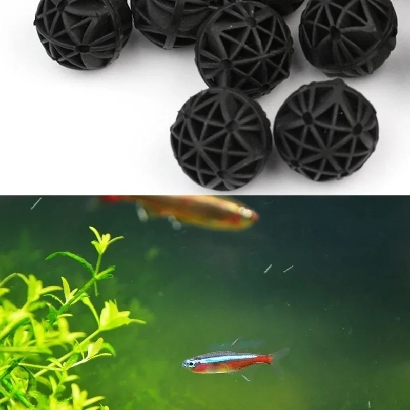 20 pièces 16mm filtre d'aquari - Marine Aquarium & Regional Centre Photos avis et prix