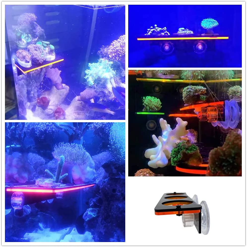 Support de prise Frag en corai - Coral Frag Plug avis et prix