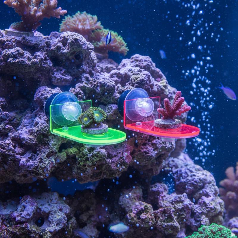 Support de fixation en acryliq - Coral Frag Plug avis et prix